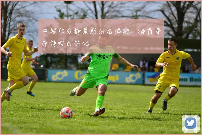 中超积分榜最新排名揭晓:榜首争夺持续白热化