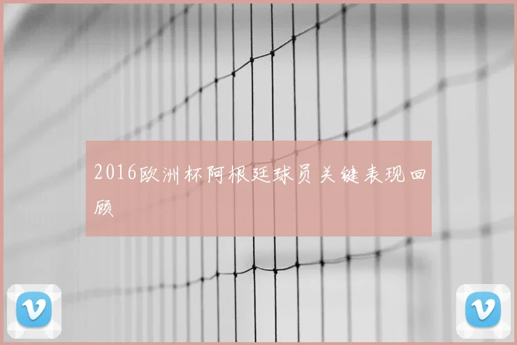 2016欧洲杯阿根廷球员关键表现回顾
