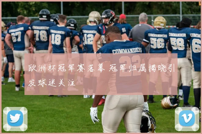 欧洲杯冠军赛落幕 冠军归属揭晓引发球迷关注