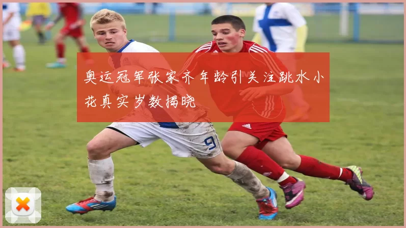奥运冠军张家齐年龄引关注跳水小花真实岁数揭晓