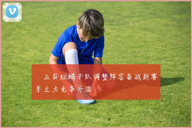 埼玉县红蝎子队调整阵容备战新赛季主力竞争升温