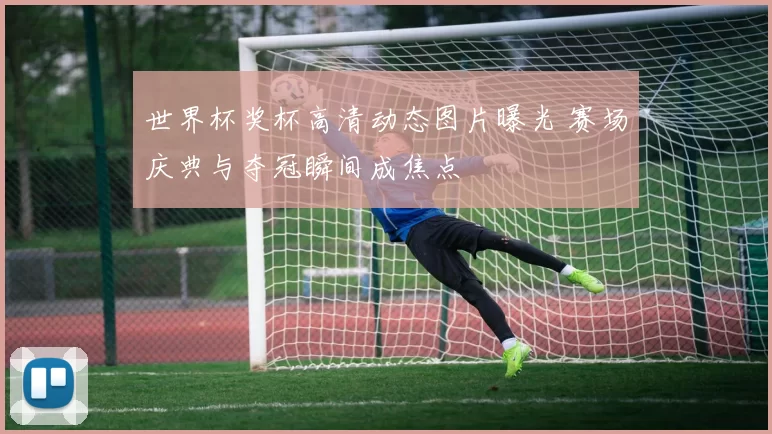 世界杯奖杯高清动态图片曝光 赛场庆典与夺冠瞬间成焦点